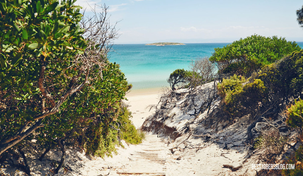 Hazards Beach Tasmanie