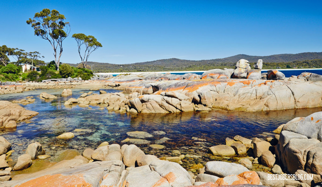 Bay of fires tasmanie