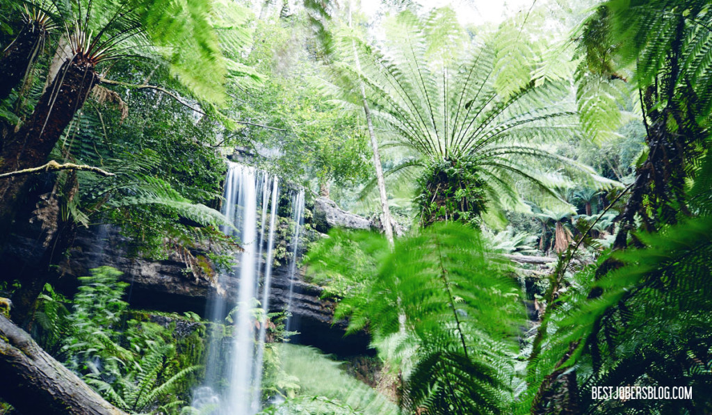 Mount field national park