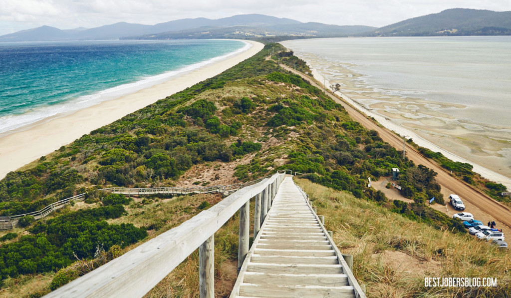 lookout tasmanie