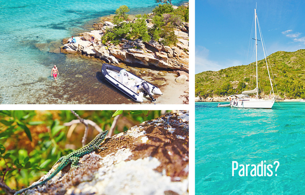 plage sable blanc corse