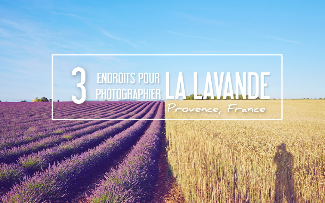 LES 3 PLUS BEAUX ENDROITS POUR PHOTOGRAPHIER LA LAVANDE EN PROVENCE
