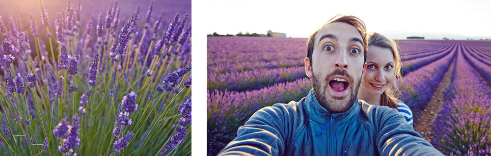 Les Bestjobers sur le Plateau de Valensole Bestjobers en Provence