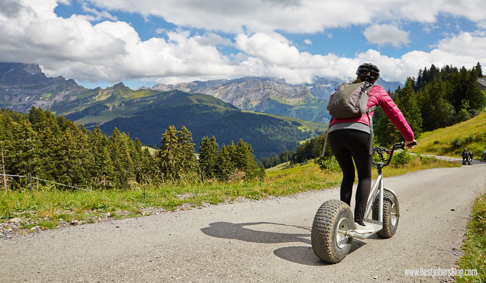 trottin'herbe suisse