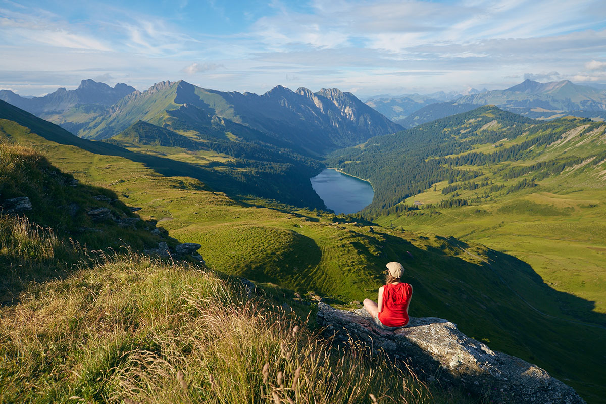 vue depuis la Palette