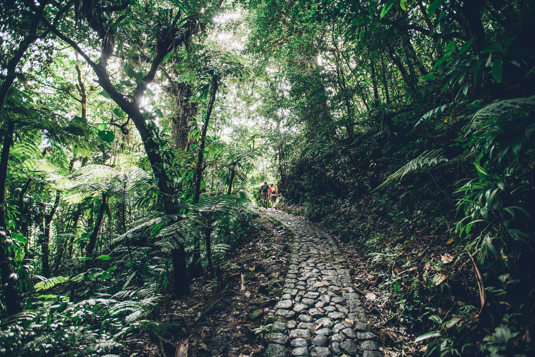 Randonnée La Soufriere, Guadeloupe