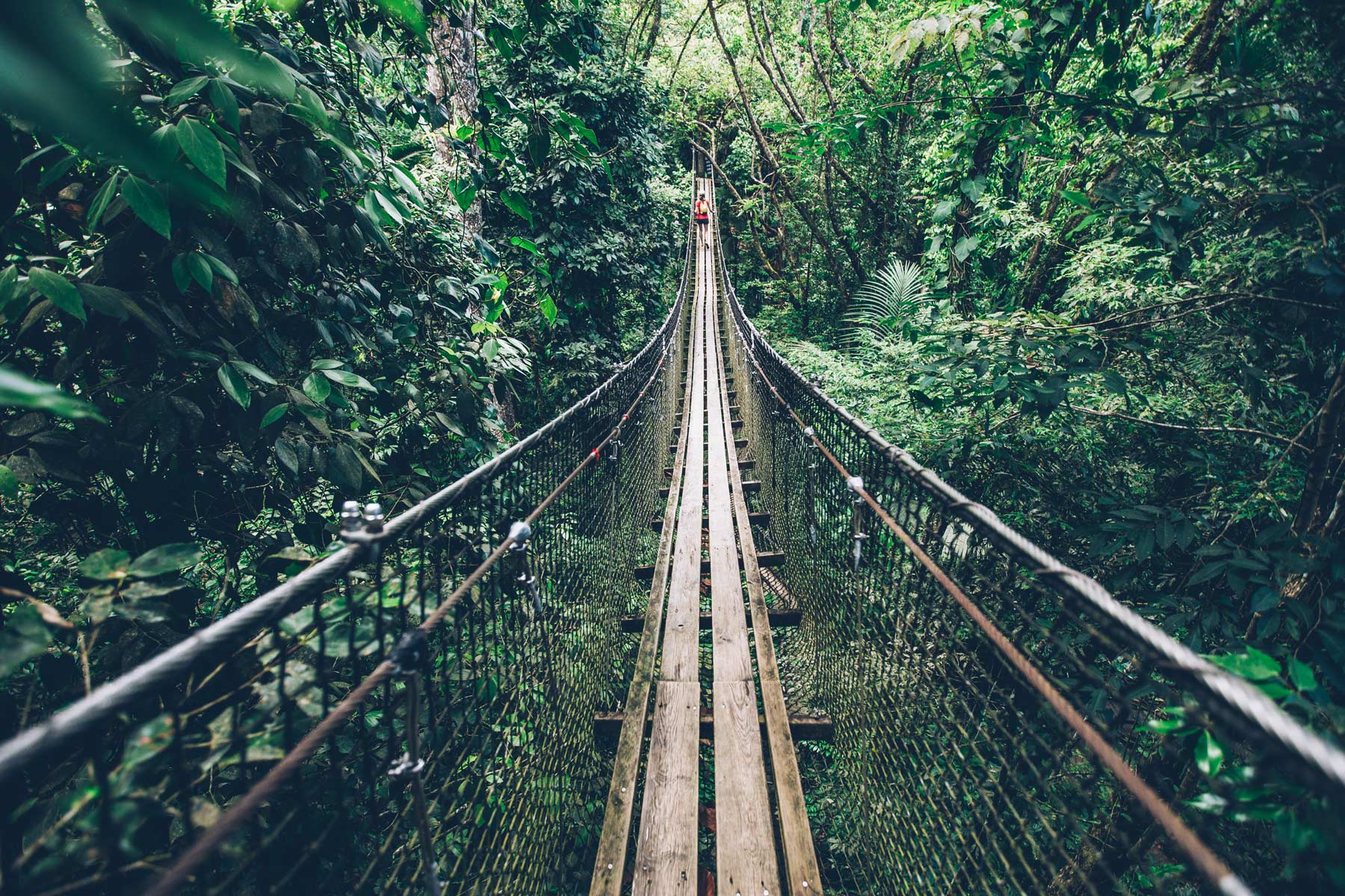 Parc des Mamelles, Guadeloupe