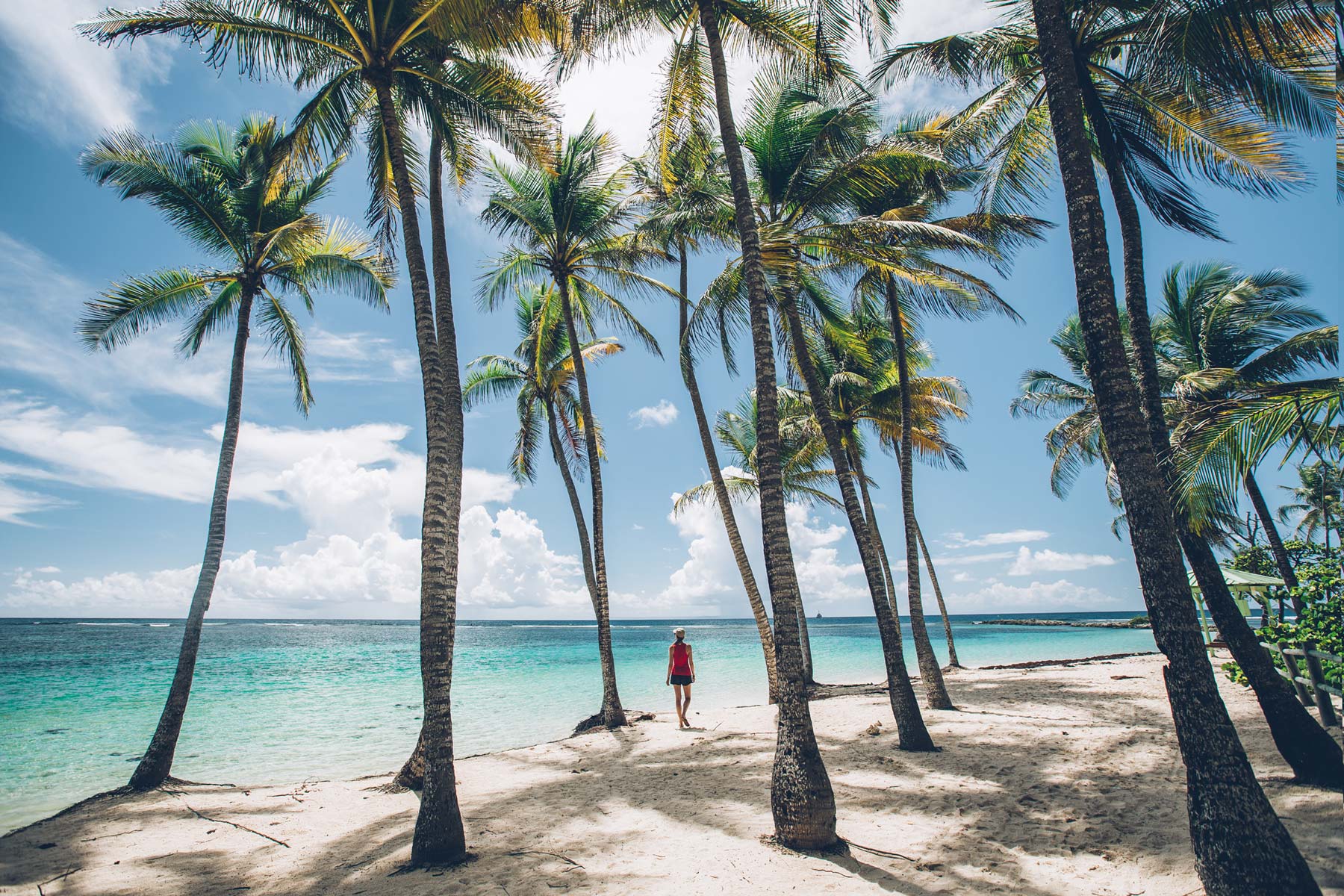 Plage de la Caravelle, Guadeloupe