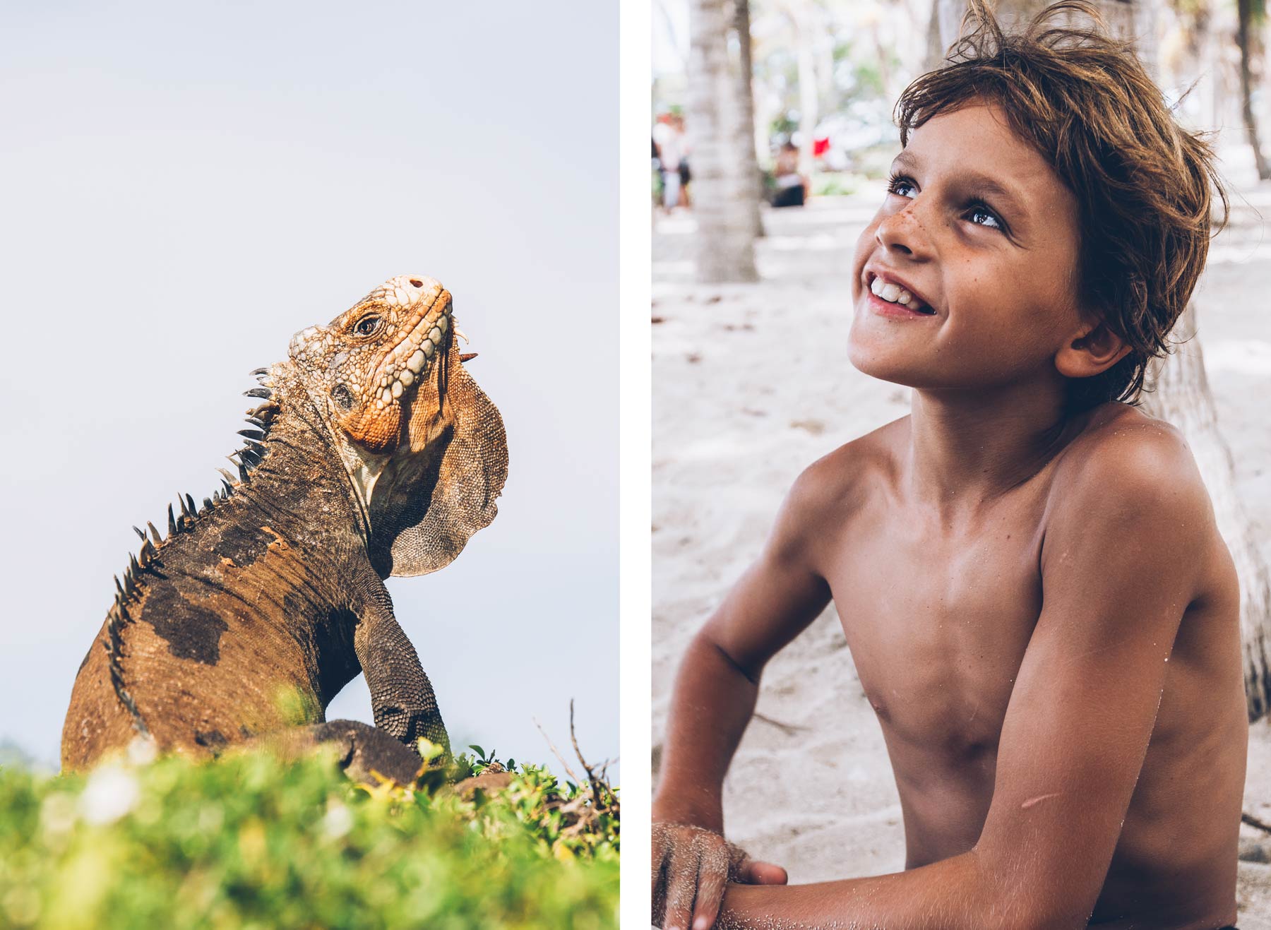 Excursion à petite terre: Iguane et rencontre