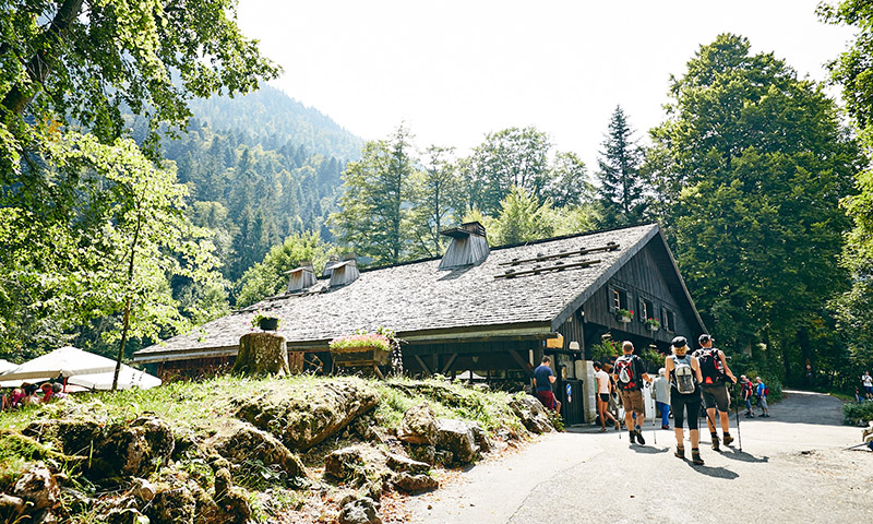 ferme robert creux du van