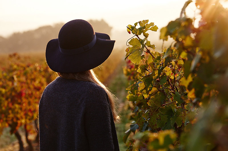 lever de soleil provence