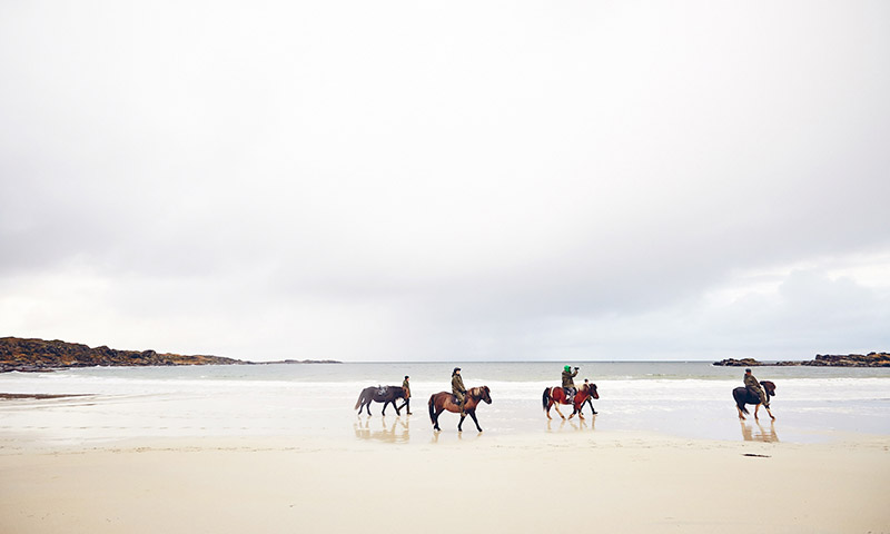 balade en cheval lofoten