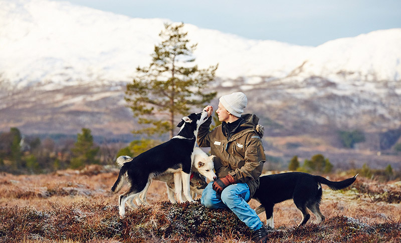 torkil chiens de traineau norvege tromso