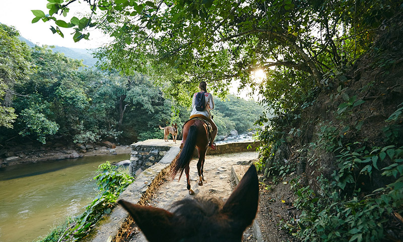 faire du cheval mexique