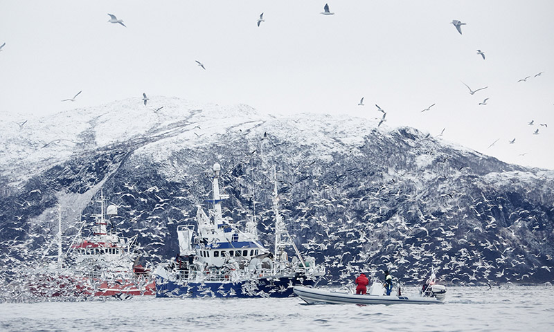 norvege tromso que faire