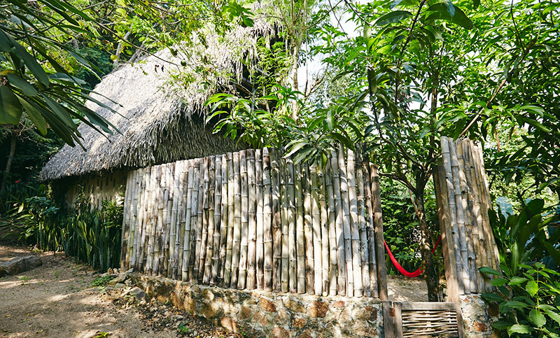 vereda palapa puerto vallarta