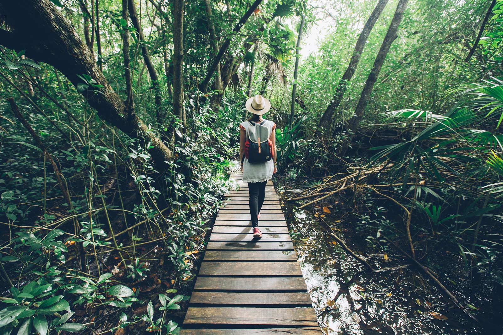 Explorer la Jungle Mexicaine, Sian Kaan