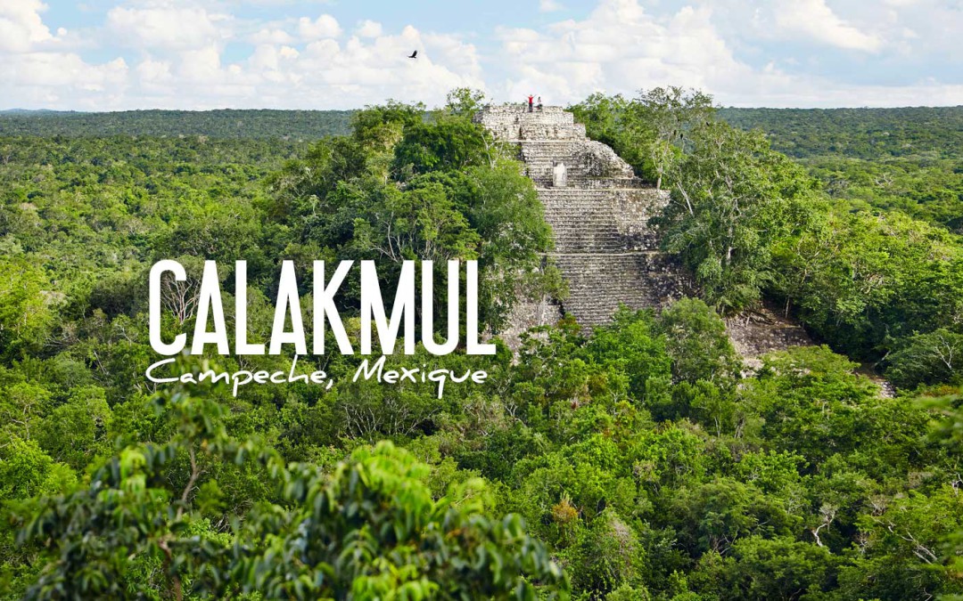 Mexique Calakmul Une Des Plus Puissantes Cités Maya