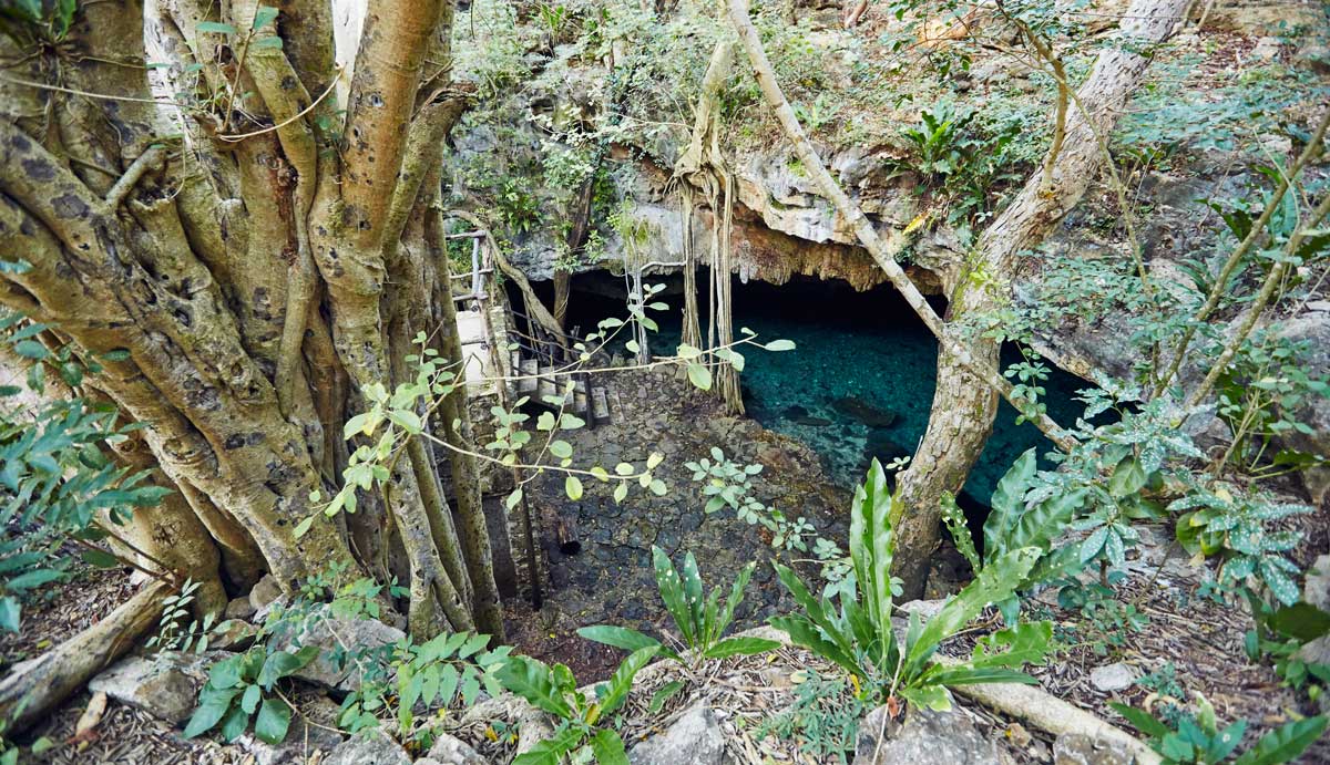 Cenote-San-Antonio-de-Mulix