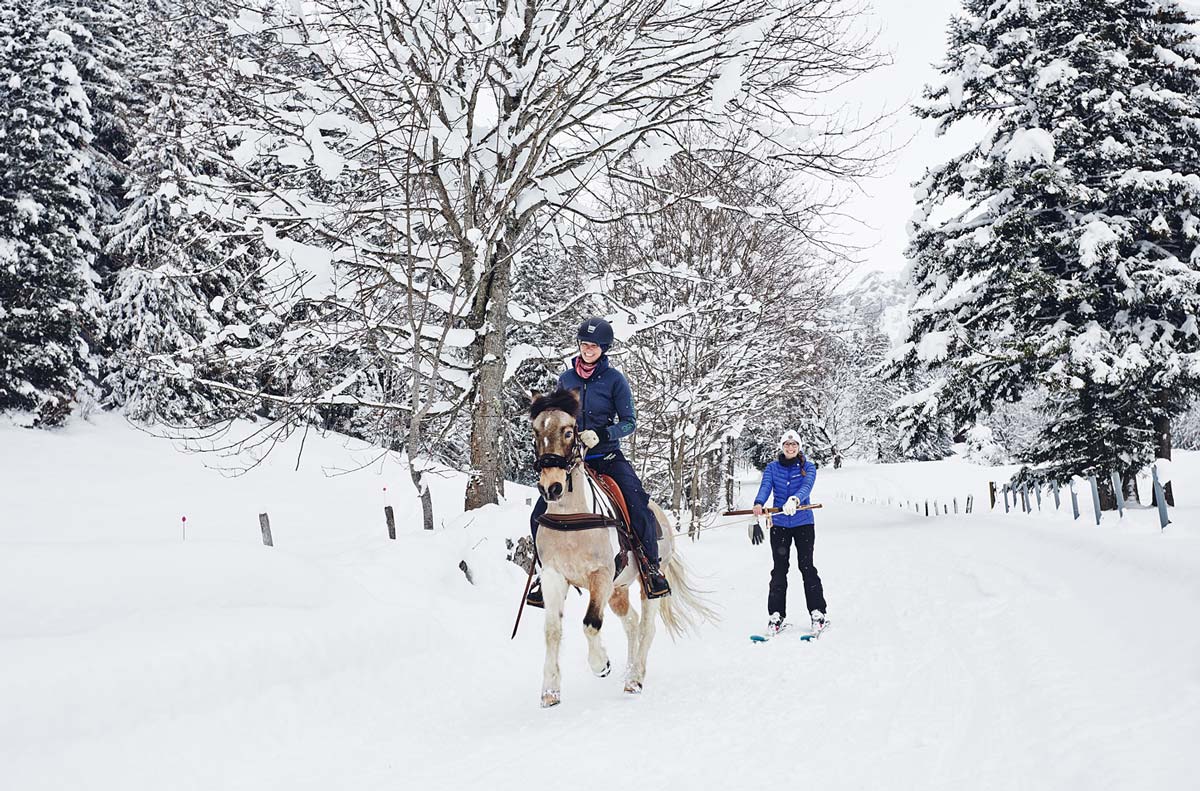 Ou-faire-du-ski-joering-en-Suisse