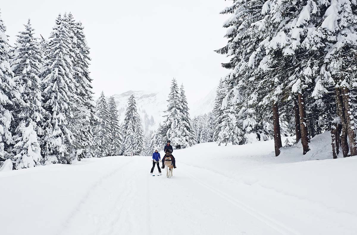 Ski-joering-diablerets-villars-suisse