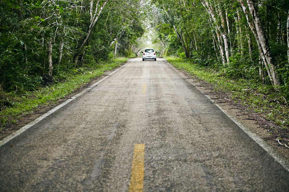 route-calakmul-mexique