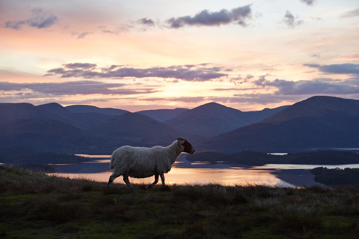 Conic-Hill-Balmaha-Ecosse