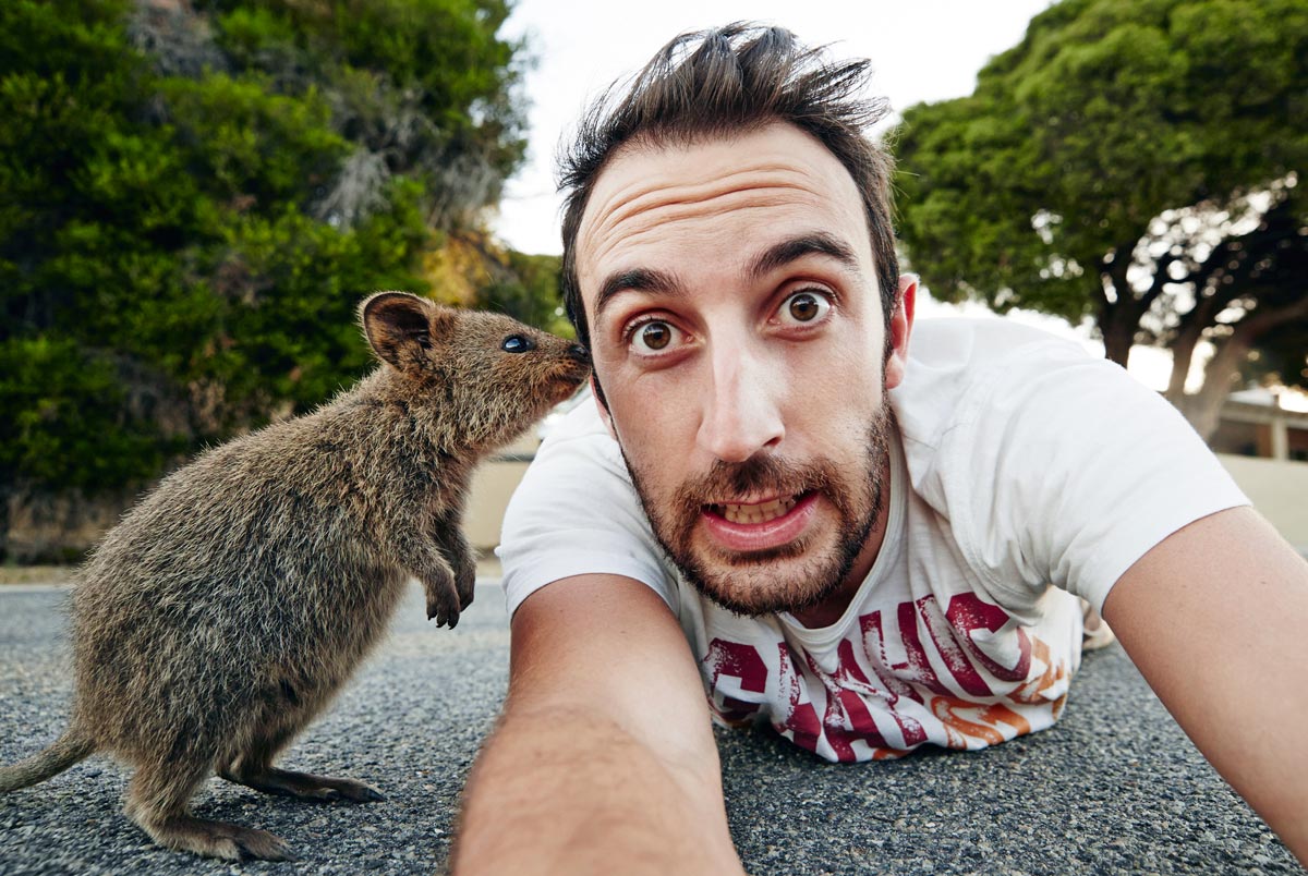 Quokka Selfie Rottnest Island