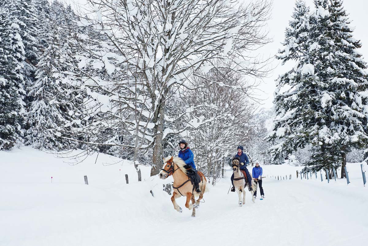 Ski-Joering-Suisse