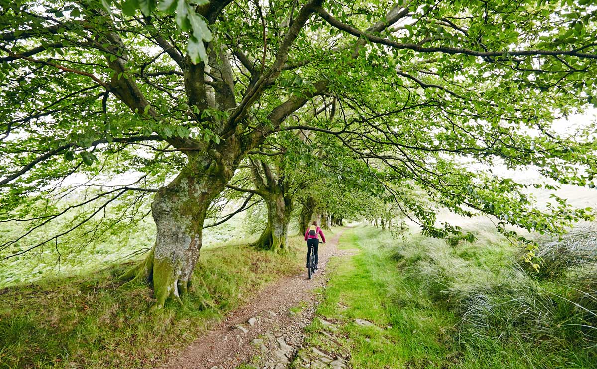 Vtt-Loch-Lomond-Ecosse