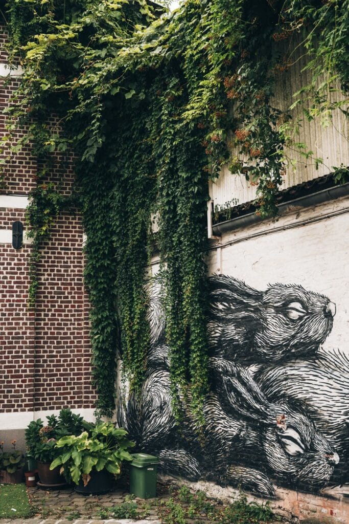 Street Art Gand