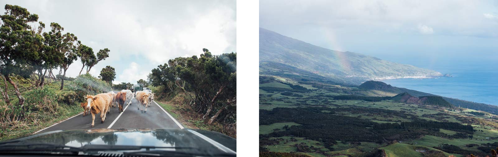 Pico, Les Açores