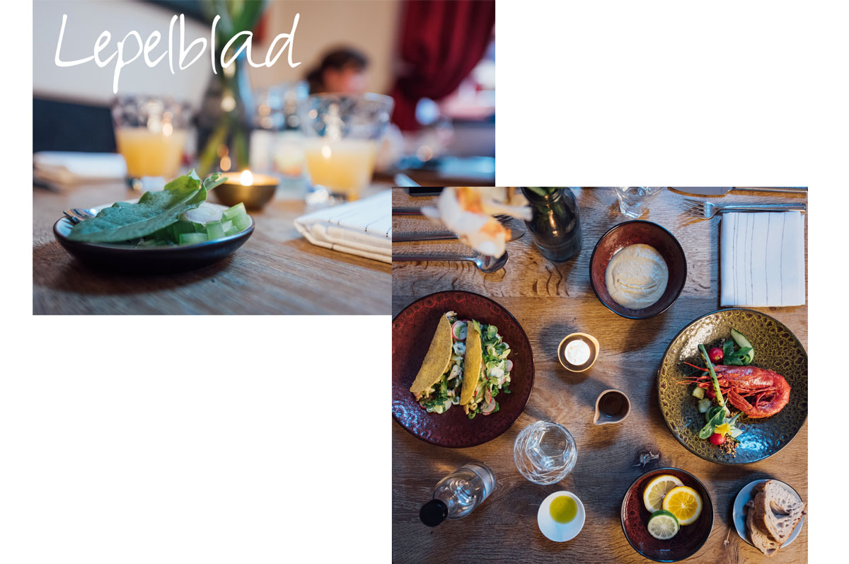 Lepelblad-Gand-restaurant