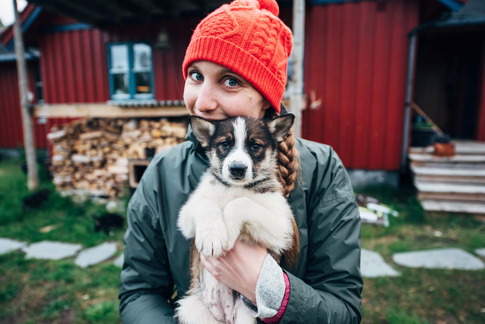 ou voir des bébés huskies en norvege