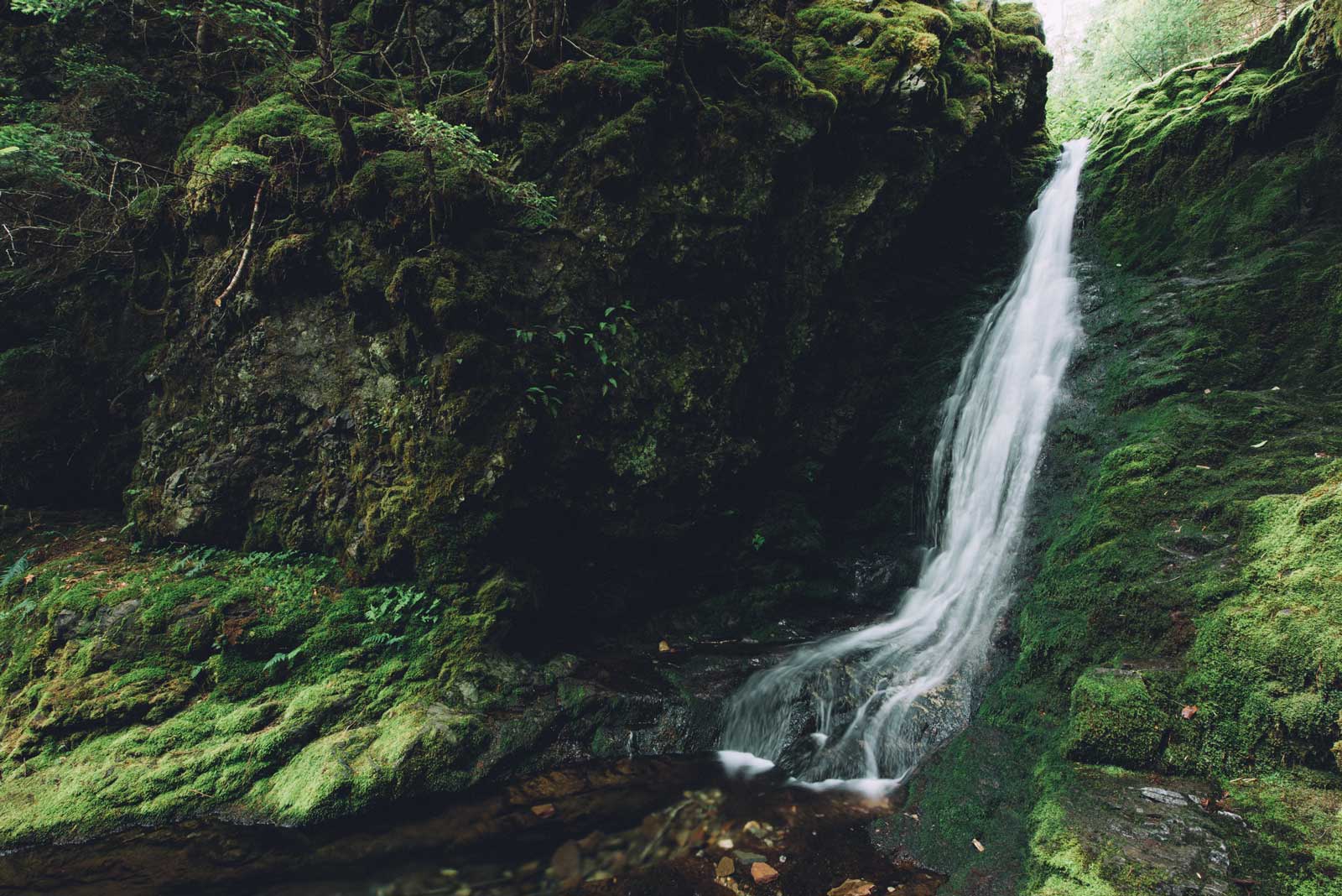 cascade dickson fundy