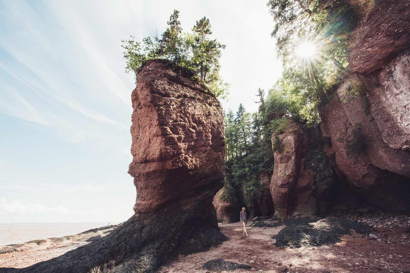 hopewell rocks