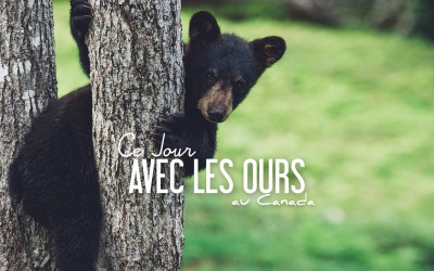 CANADA | CE JOUR AVEC LES OURS…