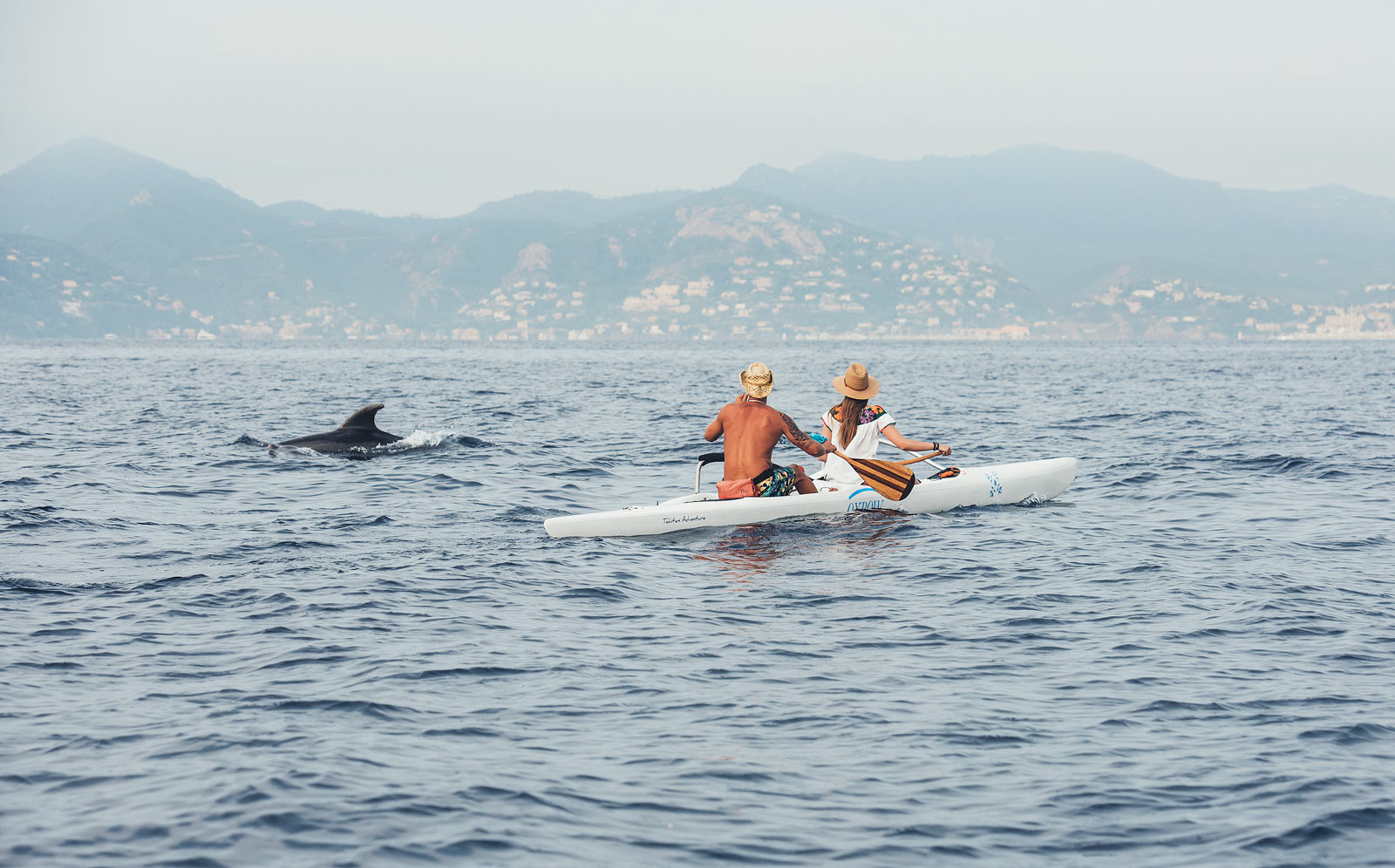 voir des dauphins cannes