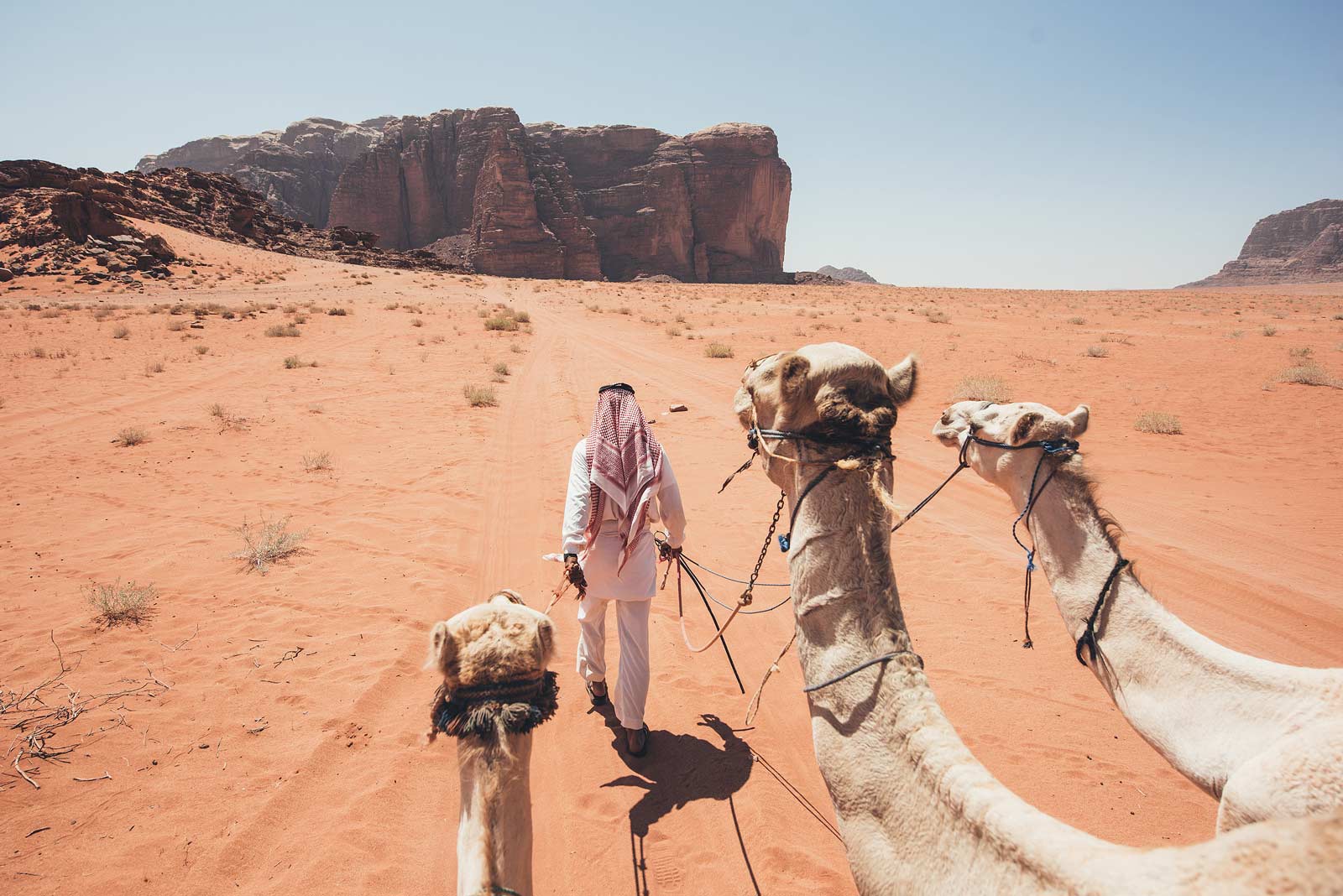 ou faire du chameau wadi rum