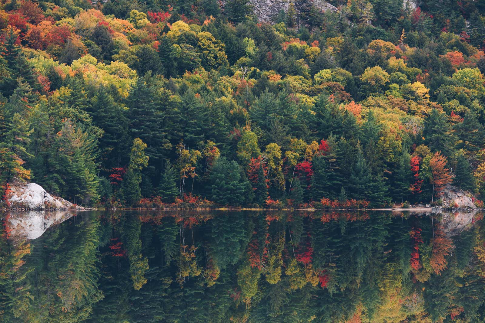 automne au canada ontario itinéraire pour voir les feuilles colorée