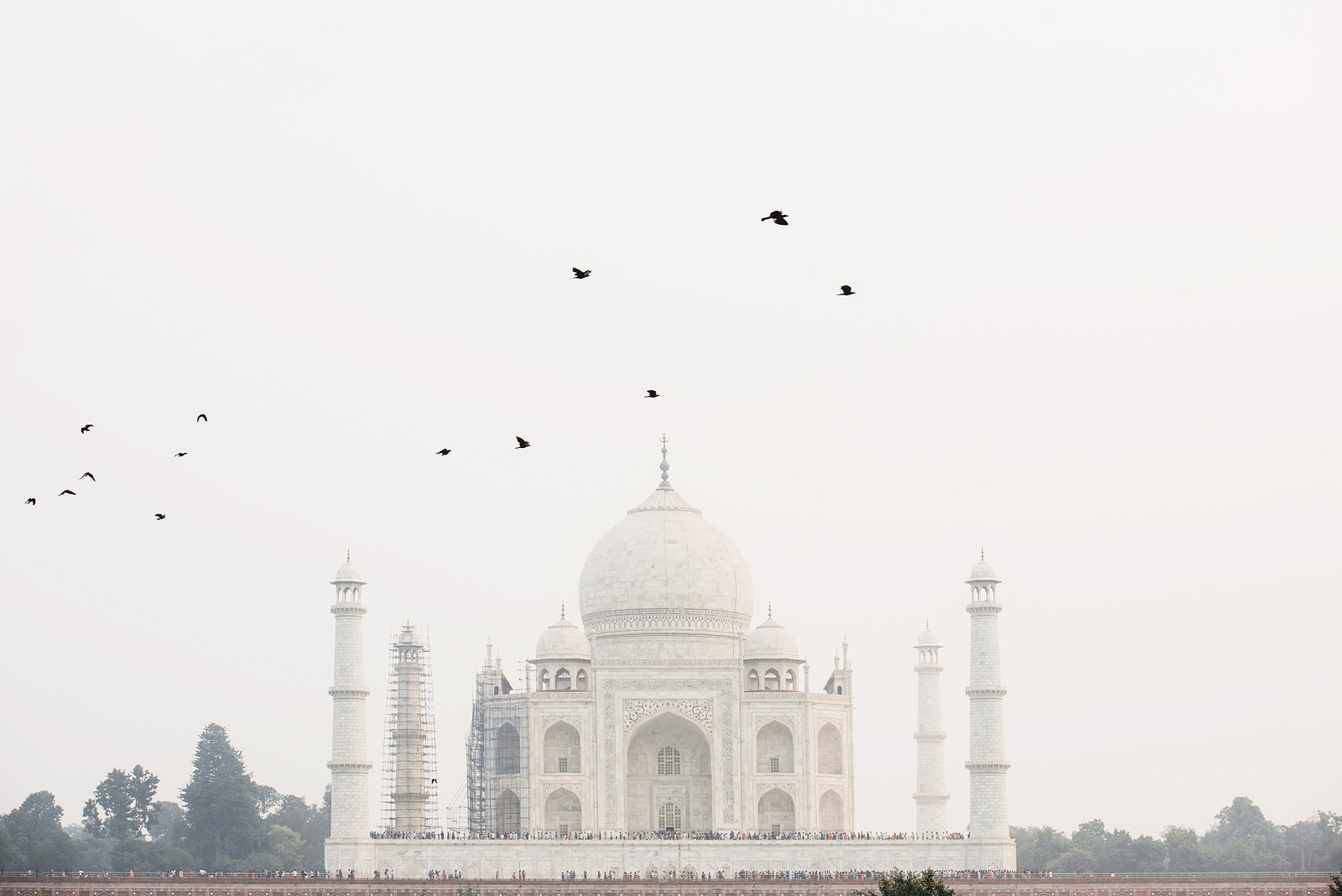 taj mahal vue depuis jardin methab bagh