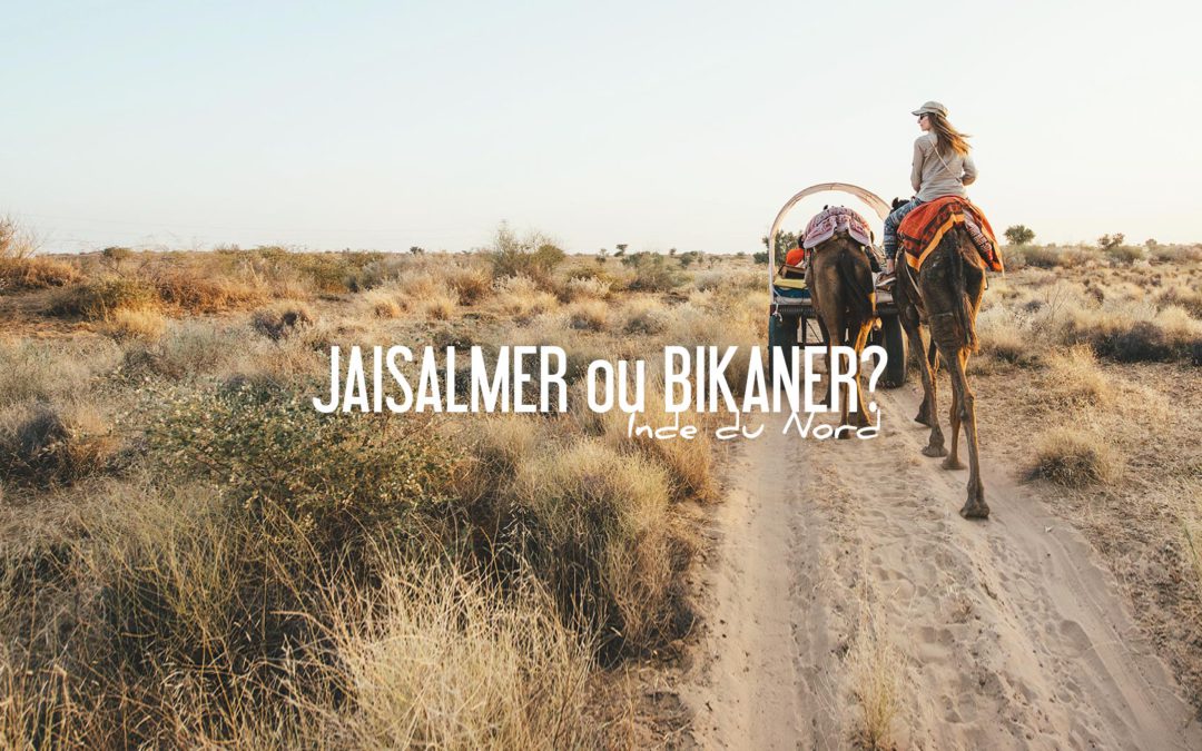 bikaner ou jaisalmer? inde camel safari