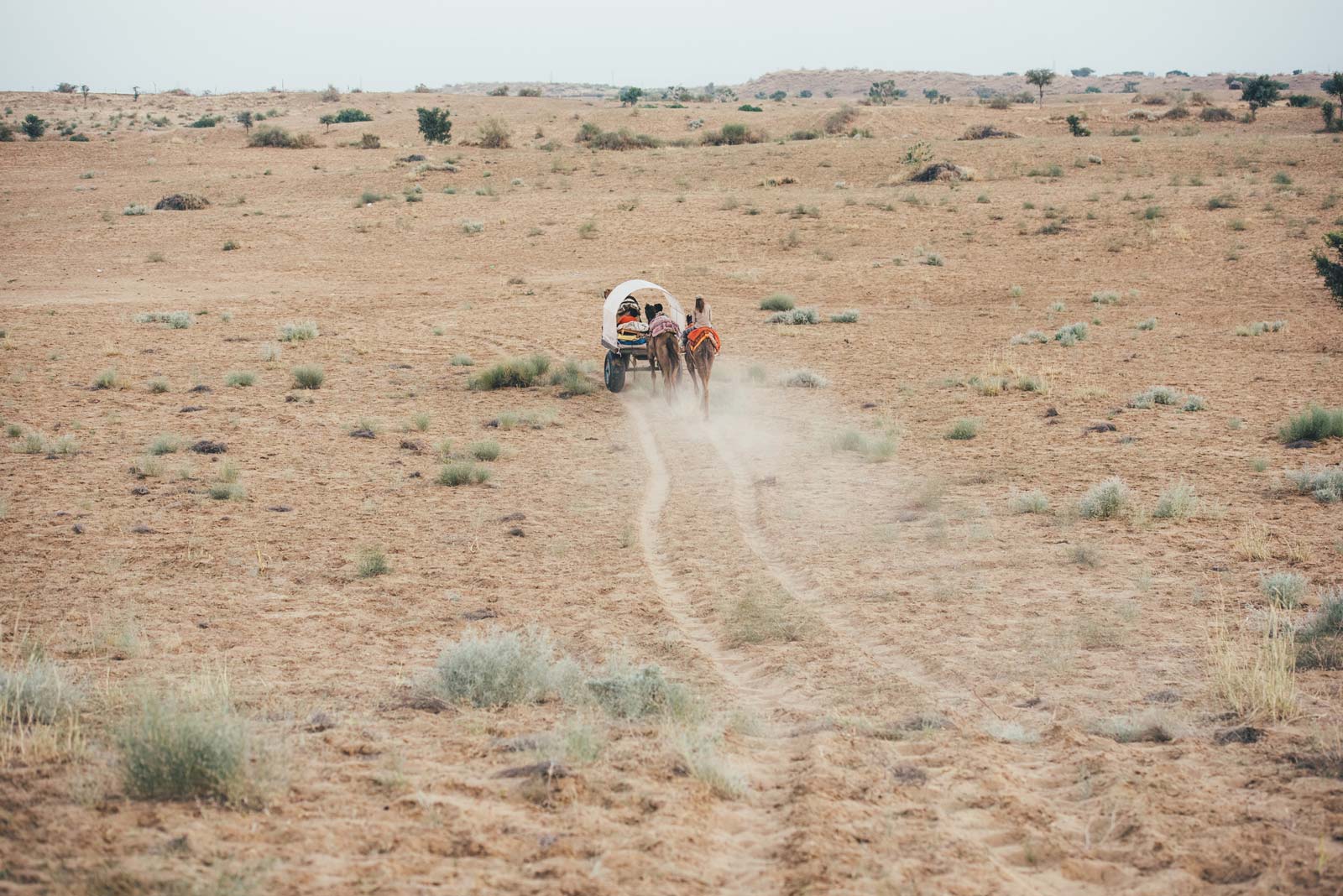 quel safari dans le desert du thar choisir?