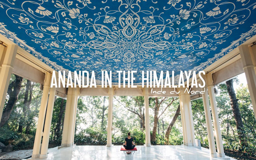 Ananda in the himalayas avis