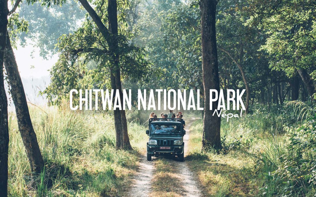 Un Safari Dans La Jungle Le Parc National De Chitwan Nepal