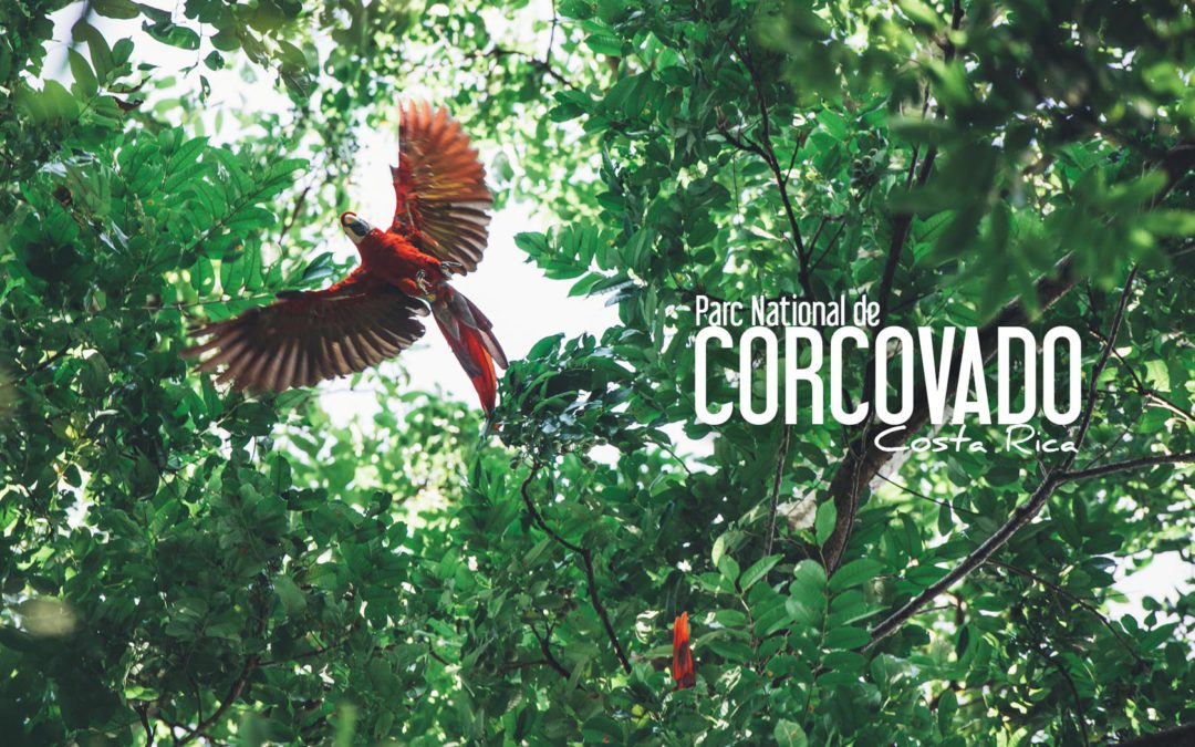 corcovado parc national costa rica blog voyage