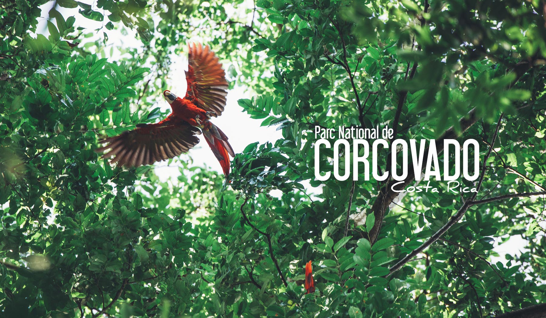 corcovado parc national costa rica blog voyage