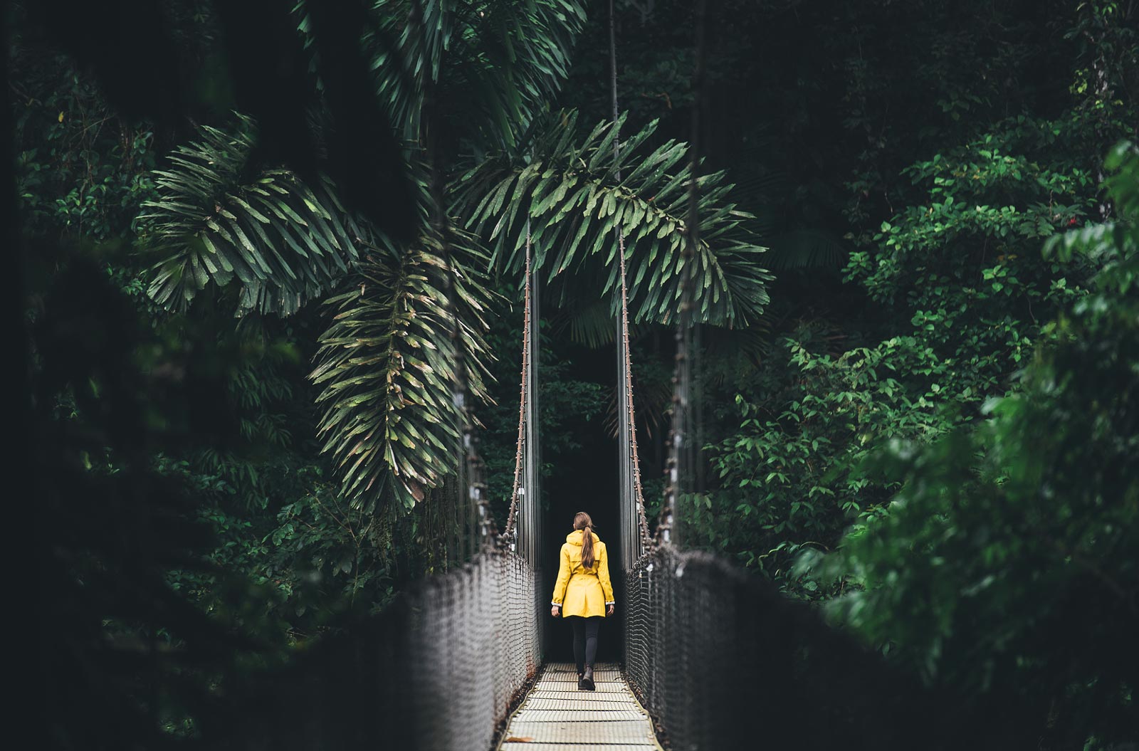 pont suspendu costa rica