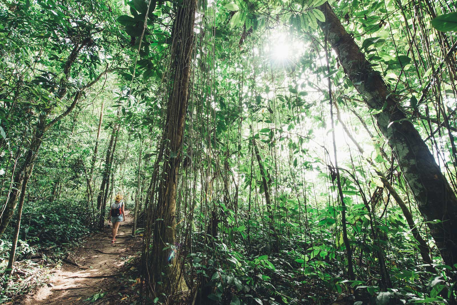 parc national de cahuita infos