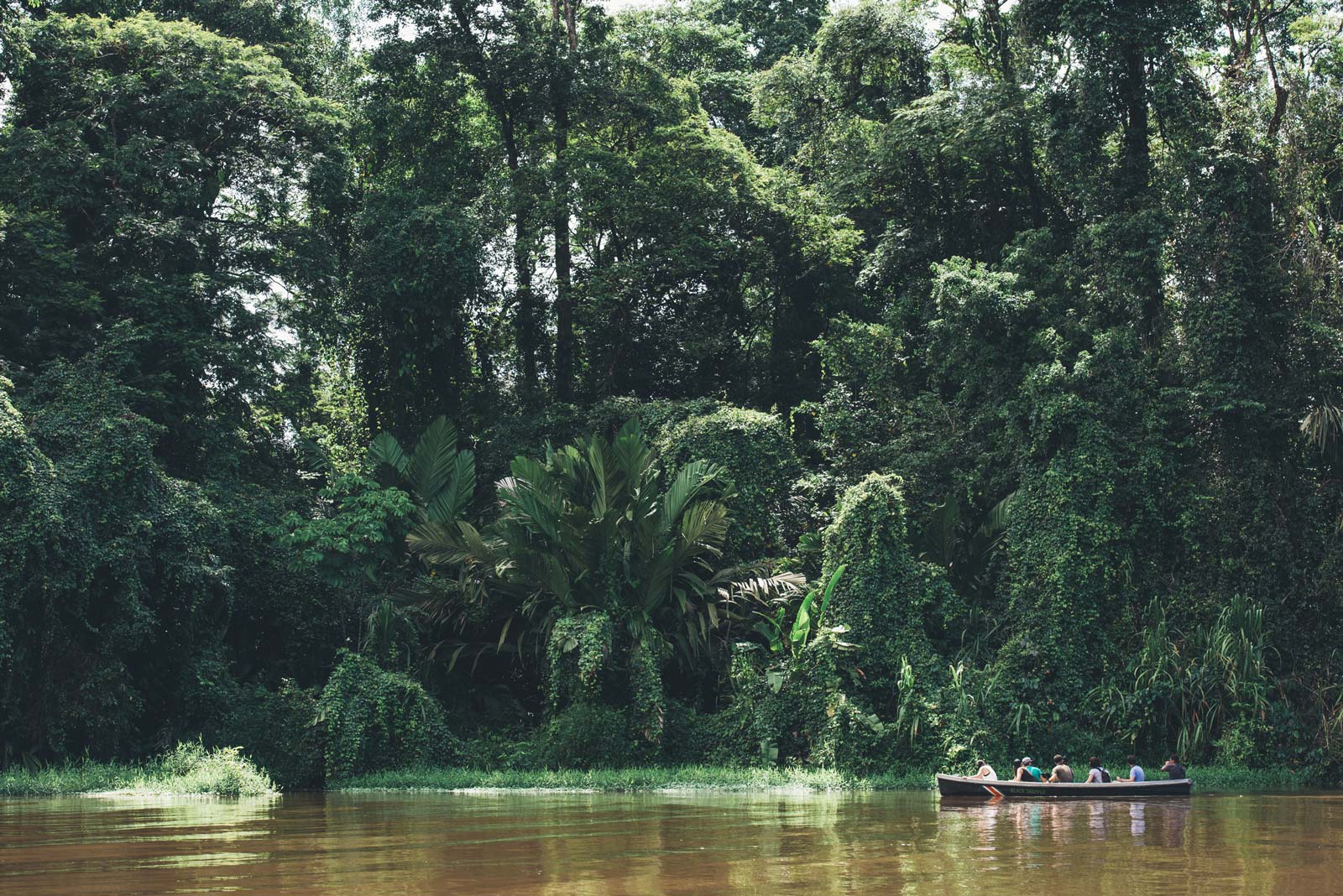 canoe kayak tortuguero costa rica